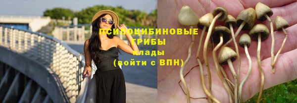 а пвп мука Володарск